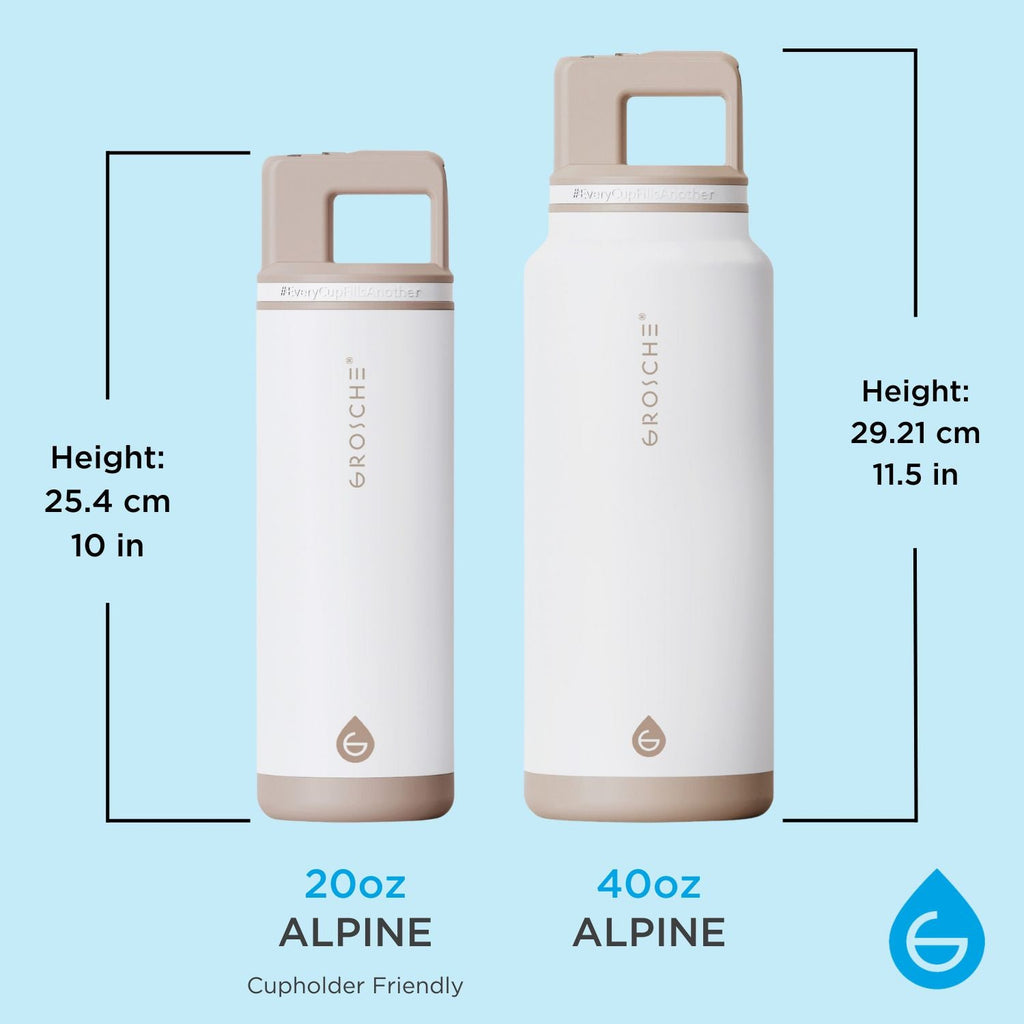 buy ALPINE insulated water bottle with straw 20oz  and 40oz