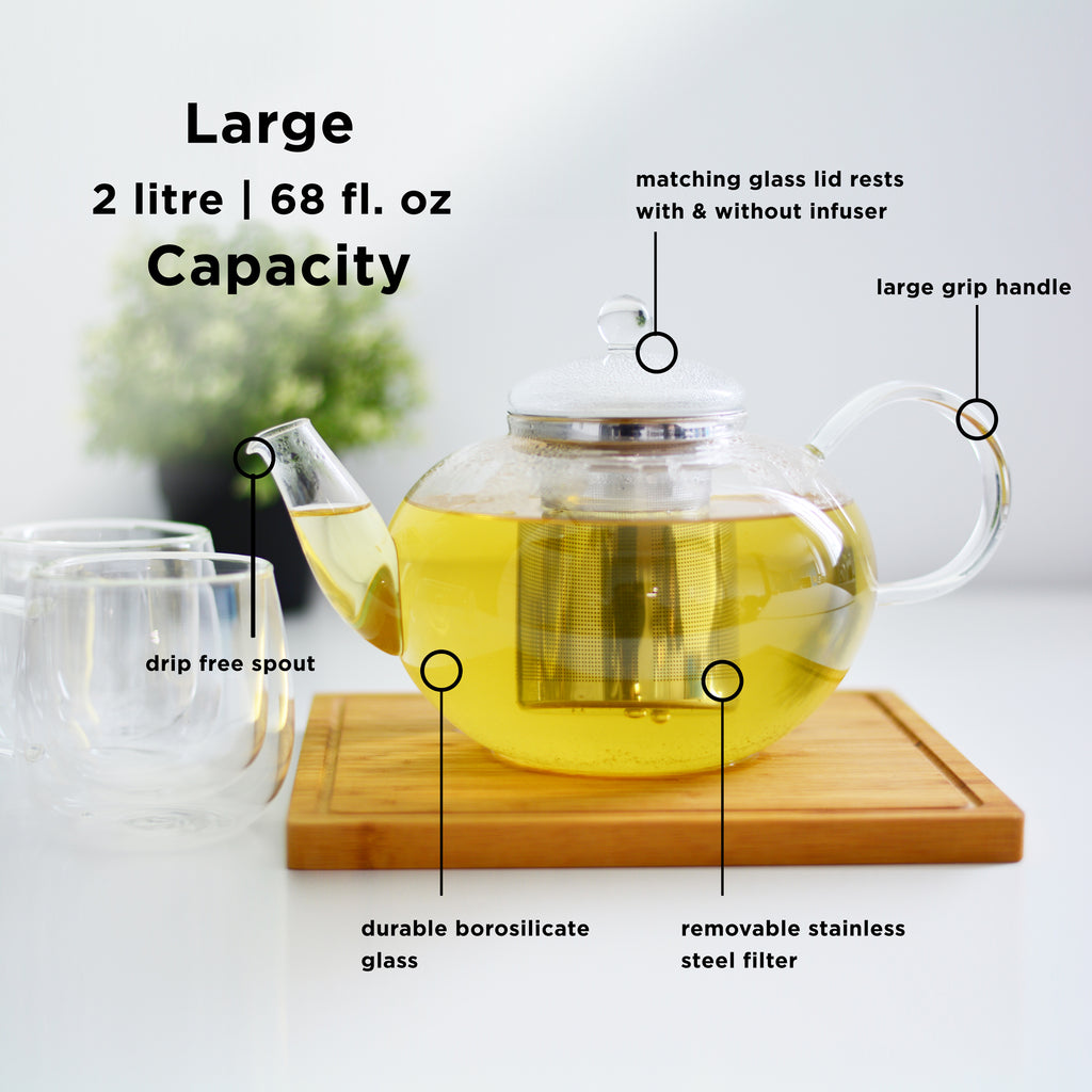 GROSCHE Cambridge Glass Infuser Teapot - 2 L/ 68 fl. oz - Package of 4 - Grosche Wholesale Canada - Teapot