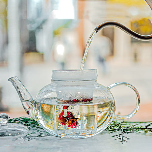 GROSCHE MONACO Heatproof Glass Infuser Teapot - 1250ml/42 fl. oz - Pack of 4 - Grosche Wholesale Canada - Teapot